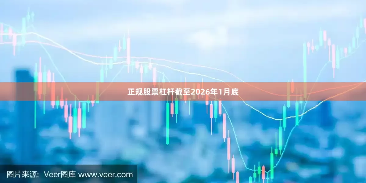 正规股票杠杆截至2026年1月底