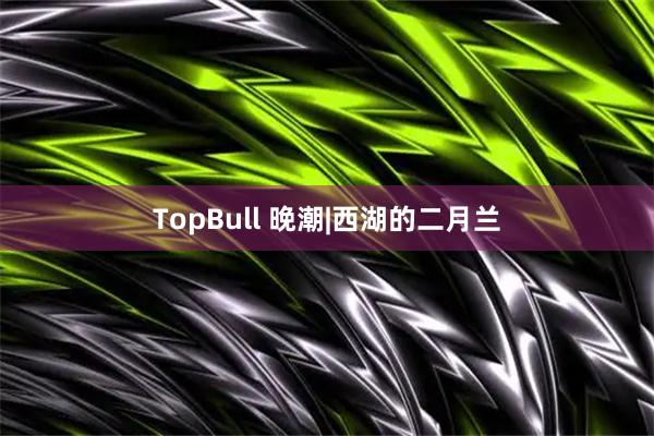 TopBull 晚潮|西湖的二月兰